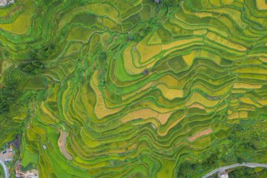 Qiandongnan, Guizhou, Çin 'deki Jiabang Terasları manzarası.