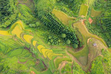 Qiandongnan, Guizhou, Çin 'deki Jiabang Terasları manzarası.