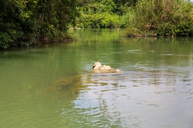 Daxin County, Guangxi, Çin 'in günbatımı manzarası. Tepeleri, ormanları ve tarlaları alacakaranlık parıltısıyla yıkanmış..