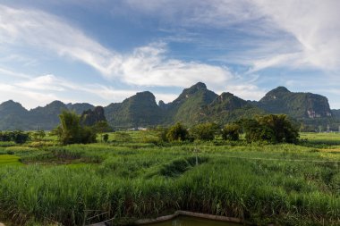 Guangxi, Çin 'deki Xinxian County' deki karst manzarası..