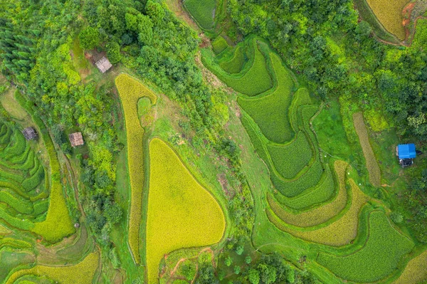 Vue Panoramique Sur Les Terrasses Jiabang Qiandongnan Guizhou Chine — Photo
