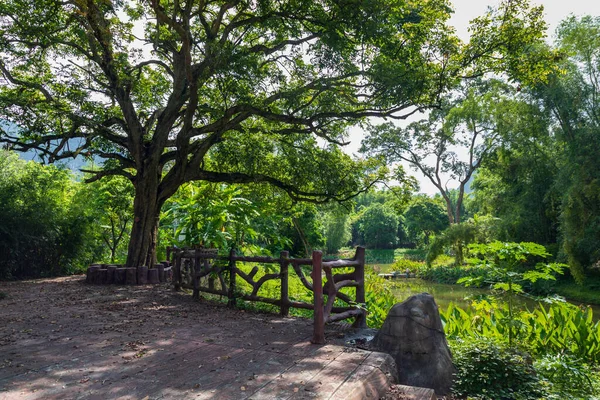 Daxin County, Guangxi, Çin 'in günbatımı manzarası. Tepeleri, ormanları ve tarlaları alacakaranlık parıltısıyla yıkanmış..