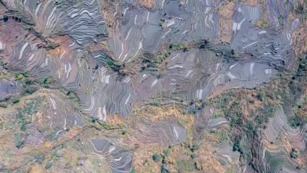 Τοπίο Terraced Πεδία Στο Yuanyang County Yunnan Κίνα Και Γύρω — Αρχείο Βίντεο