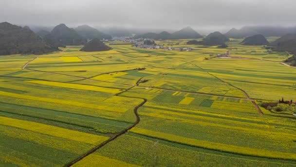 Τοπίο Terraced Πεδία Στο Yuanyang County Yunnan Κίνα Και Γύρω — Αρχείο Βίντεο