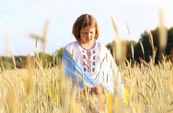 Tristă Fată Frumoasă Într Cămașă Brodată Steag Galben Albastru Ucraină — Fotografie, imagine de stoc