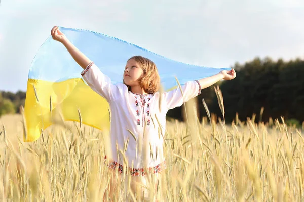 Piękna Ukraińska Dziewczyna Niesie Trzepoczącą Niebiesko Żółtą Flagę Ukrainy Tle — Zdjęcie stockowe