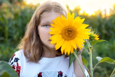 Vyshyvanka giyen güzel Ukraynalı kız yüzünü bir ayçiçeğiyle örtüyor. Ukrayna Bağımsızlık, Anayasa, Birlik, Gün. Çiftçilik, hasat, tarım Kartpostalı, poster, takvim