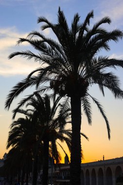 Nice, Fransa - 9 Ağustos 2024 - İnsanların yürüyüp dinlendiği ünlü Promenade des Anglais ve sahil manzarası