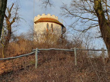 Wallwitzburg kalesi Dessau Saksonya-Anhalt 'ı harap etti.