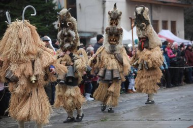 Breznik, Bulgaria - January 21, 2023: Unidentified people with traditional Kukeri costume are seen at the Festival of the Masquerade Games Surova in Breznik, Bulgaria