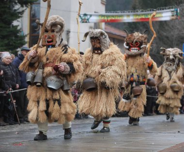 Breznik, Bulgaria - January 21, 2023: Unidentified people with traditional Kukeri costume are seen at the Festival of the Masquerade Games Surova in Breznik, Bulgaria