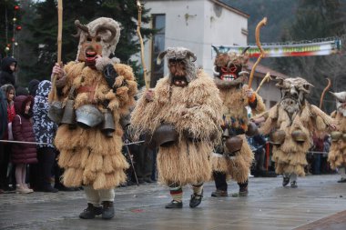 Breznik, Bulgaria - January 21, 2023: Unidentified people with traditional Kukeri costume are seen at the Festival of the Masquerade Games Surova in Breznik, Bulgaria