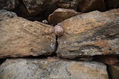 Geleneksel kuru taş duvar. Havan ve çimento olmadan inşa edilmiş.