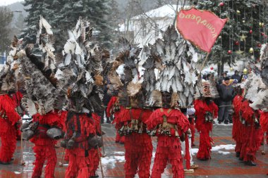 Breznik, Bulgaristan - 20 Ocak 2024: Bulgaristan 'ın Breznik kentinde düzenlenen Maskeli Balo Festivali' nde geleneksel Kukeri kostümlü tanımlanamayan kişiler görülüyor.