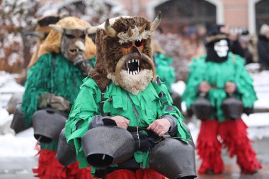 Breznik, Bulgaristan - 20 Ocak 2024: Bulgaristan 'ın Breznik kentinde düzenlenen Maskeli Balo Festivali' nde geleneksel Kukeri kostümlü tanımlanamayan kişiler görülüyor.