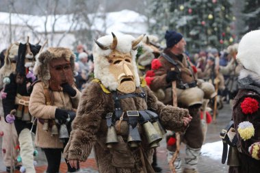 Breznik, Bulgaristan - 20 Ocak 2024: Bulgaristan 'ın Breznik kentinde düzenlenen Maskeli Balo Festivali' nde geleneksel Kukeri kostümlü tanımlanamayan kişiler görülüyor.