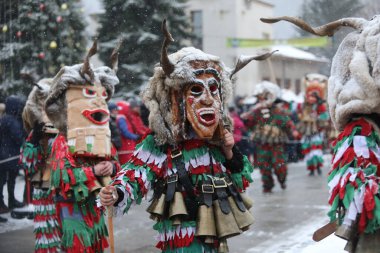 Breznik, Bulgaristan - 20 Ocak 2024: Bulgaristan 'ın Breznik kentinde düzenlenen Maskeli Balo Festivali' nde geleneksel Kukeri kostümlü tanımlanamayan kişiler görülüyor.
