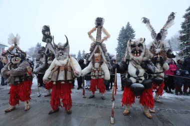 Breznik, Bulgaristan - 20 Ocak 2024: Bulgaristan 'ın Breznik kentinde düzenlenen Maskeli Balo Festivali' nde geleneksel Kukeri kostümlü tanımlanamayan kişiler görülüyor.