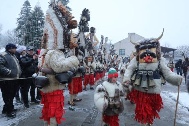 Breznik, Bulgaristan - 20 Ocak 2024: Bulgaristan 'ın Breznik kentinde düzenlenen Maskeli Balo Festivali' nde geleneksel Kukeri kostümlü tanımlanamayan kişiler görülüyor.