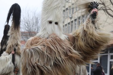 Kyustendil, Bulgaristan - 10 Şubat 2024: Bulgaristan 'ın Kyustendil kentinde düzenlenen ilk maskeli balo festivali 