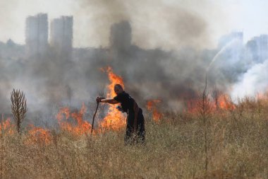 Sofya, Bulgaristan - 13 Ağustos 2024: İtfaiyeciler Bulgaristan 'ın Sofya Havaalanı yakınlarındaki bir sahada kuru çimen yakmaktan çıkan yangını söndürdüler