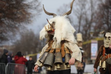 Pernik, Bulgaristan - 24 Ocak 2025: Bulgaristan 'ın Pernik kentinde düzenlenen 31. Uluslararası Maskeli Balo Festivali Surva. Kukeri adındaki maskeli insanlar dans ediyor ve kötü ruhları korkutmak için gösteri yapıyorlar..