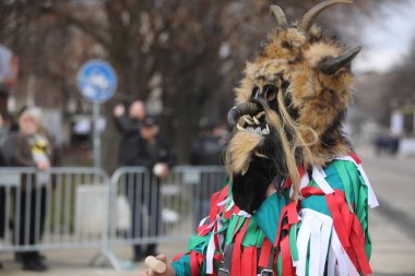 Pernik, Bulgaristan - 24 Ocak 2025: Bulgaristan 'ın Pernik kentinde düzenlenen 31. Uluslararası Maskeli Balo Festivali Surva. Kukeri adındaki maskeli insanlar dans ediyor ve kötü ruhları korkutmak için gösteri yapıyorlar..