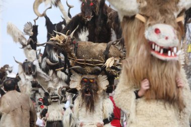 Pernik, Bulgaristan - 24 Ocak 2025: Bulgaristan 'ın Pernik kentinde düzenlenen 31. Uluslararası Maskeli Balo Festivali Surva. Kukeri adındaki maskeli insanlar dans ediyor ve kötü ruhları korkutmak için gösteri yapıyorlar..