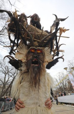 Pernik, Bulgaristan - 24 Ocak 2025: Bulgaristan 'ın Pernik kentinde düzenlenen 31. Uluslararası Maskeli Balo Festivali Surva. Kukeri adındaki maskeli insanlar dans ediyor ve kötü ruhları korkutmak için gösteri yapıyorlar..
