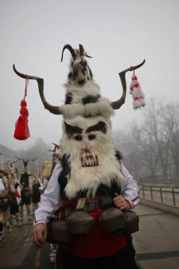 Pernik, Bulgaristan - 25 Ocak 2025: Bulgaristan 'ın Pernik kentinde düzenlenen 31. Uluslararası Maskeli Balo Festivali Surva. Kukeri adındaki maskeli insanlar dans ediyor ve kötü ruhları korkutmak için gösteri yapıyorlar..