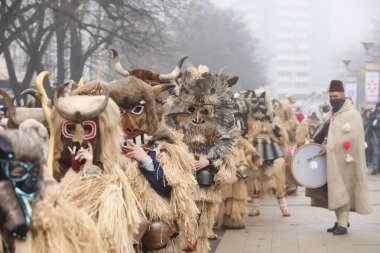 Pernik, Bulgaristan - 25 Ocak 2025: Bulgaristan 'ın Pernik kentinde düzenlenen 31. Uluslararası Maskeli Balo Festivali Surva. Kukeri adındaki maskeli insanlar dans ediyor ve kötü ruhları korkutmak için gösteri yapıyorlar..