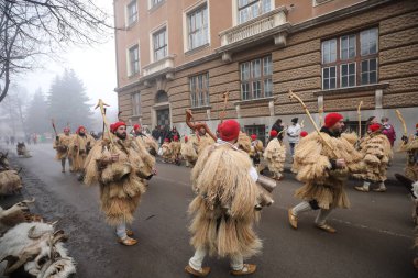 Pernik, Bulgaristan - 25 Ocak 2025: Bulgaristan 'ın Pernik kentinde düzenlenen 31. Uluslararası Maskeli Balo Festivali Surva. Kukeri adındaki maskeli insanlar dans ediyor ve kötü ruhları korkutmak için gösteri yapıyorlar..