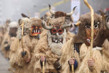Pernik, Bulgaristan - 25 Ocak 2025: Bulgaristan 'ın Pernik kentinde düzenlenen 31. Uluslararası Maskeli Balo Festivali Surva. Kukeri adındaki maskeli insanlar dans ediyor ve kötü ruhları korkutmak için gösteri yapıyorlar..