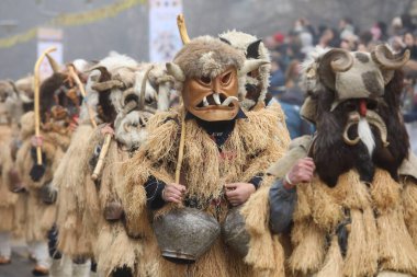 Pernik, Bulgaristan - 25 Ocak 2025: Bulgaristan 'ın Pernik kentinde düzenlenen 31. Uluslararası Maskeli Balo Festivali Surva. Kukeri adındaki maskeli insanlar dans ediyor ve kötü ruhları korkutmak için gösteri yapıyorlar..