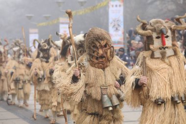 Pernik, Bulgaristan - 25 Ocak 2025: Bulgaristan 'ın Pernik kentinde düzenlenen 31. Uluslararası Maskeli Balo Festivali Surva. Kukeri adındaki maskeli insanlar dans ediyor ve kötü ruhları korkutmak için gösteri yapıyorlar..