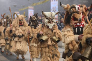 Pernik, Bulgaristan - 25 Ocak 2025: Bulgaristan 'ın Pernik kentinde düzenlenen 31. Uluslararası Maskeli Balo Festivali Surva. Kukeri adındaki maskeli insanlar dans ediyor ve kötü ruhları korkutmak için gösteri yapıyorlar..