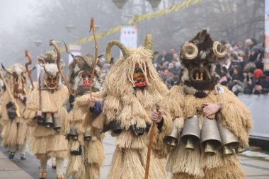 Pernik, Bulgaristan - 25 Ocak 2025: Bulgaristan 'ın Pernik kentinde düzenlenen 31. Uluslararası Maskeli Balo Festivali Surva. Kukeri adındaki maskeli insanlar dans ediyor ve kötü ruhları korkutmak için gösteri yapıyorlar..