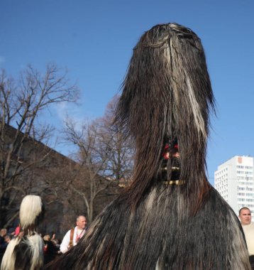 Pernik, Bulgaria - January 25, 2025: The 31th International masquerade festival Surva in Pernik, Bulgaria. People with mask called Kukeri dance and perform to scare the evil spirits. clipart