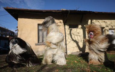 Pernik, Bulgaria - January 25, 2025: The 31th International masquerade festival Surva in Pernik, Bulgaria. People with mask called Kukeri dance and perform to scare the evil spirits. clipart