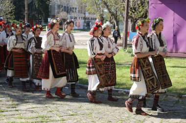 Bulgaristan 'ın Koinare kenti - 13 Nisan 2025: Lazarus Günü geleneksel bir Bulgar bayramıdır. Kızlar saçlarını süsler ve köyde şarkılar ve danslarla dolaşırlar, böylece evlenmeye hazır olduklarını gösterirler.