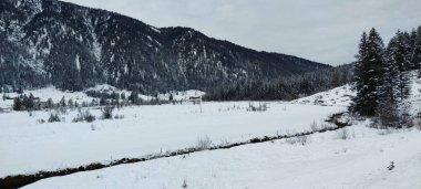 Avusturya 'nın Alplerdeki St. Ulrich köyünün yakınlarındaki karla kaplı ağaçların manzarası, arka planda bir dağ ve karla kaplı bir ev, fotoğraf