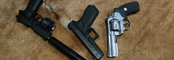 Sig Sauer 22Lr Glock 9Mm Luger 코브라 357 매그넘 — 스톡 사진