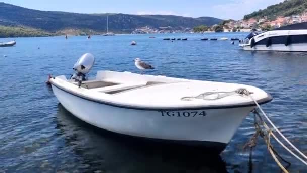 看到一只海鸥停靠在克罗地亚海岸外的一艘船上 背景是大海和群山 — 图库视频影像