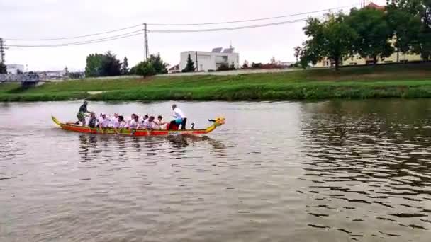 Uherske Hradiste Czech Republic 2023 Dragon Boat Race Uherske Hradiste — 图库视频影像