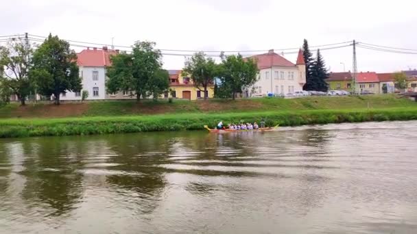 Uherske Hradiste Czech Republic 2023 Dragon Boat Race Uherske Hradiste — Stock Video