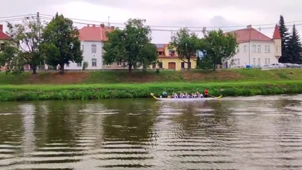 チェコ チェコ共和国 ロッテイスト 2023 ボートに落ちる誘惑者の眺め ウーキースカイットのドラゴンボートレース — ストック動画