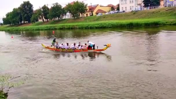 Uherske Hradiste Tjeckien 2023 Drakbåtstävling Uherske Hradiste Över Förförare Som — Stockvideo