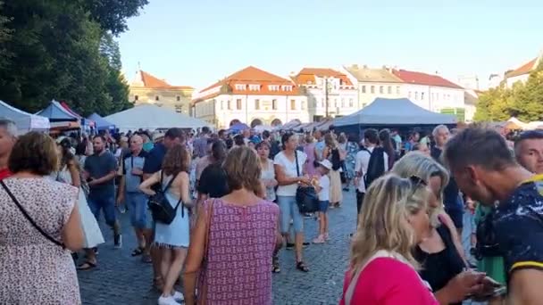 Uherske Hradiste Tsjechië 2023 Mensen Lopen Langs Kraampjes Het Plein — Stockvideo