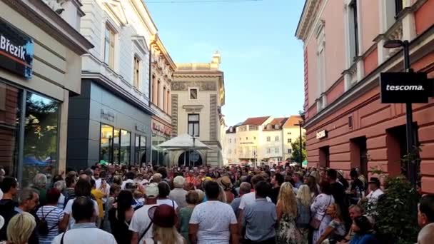 Uherske Hradiste Czech Republic 2023 People Listening Dulcimer Music Dulcimer — Stock Video