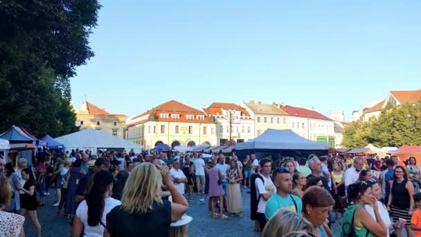 Угерске Градисте Чехия 2023 Люди Проходят Мимо Ларьков Площади Праздник — стоковое видео